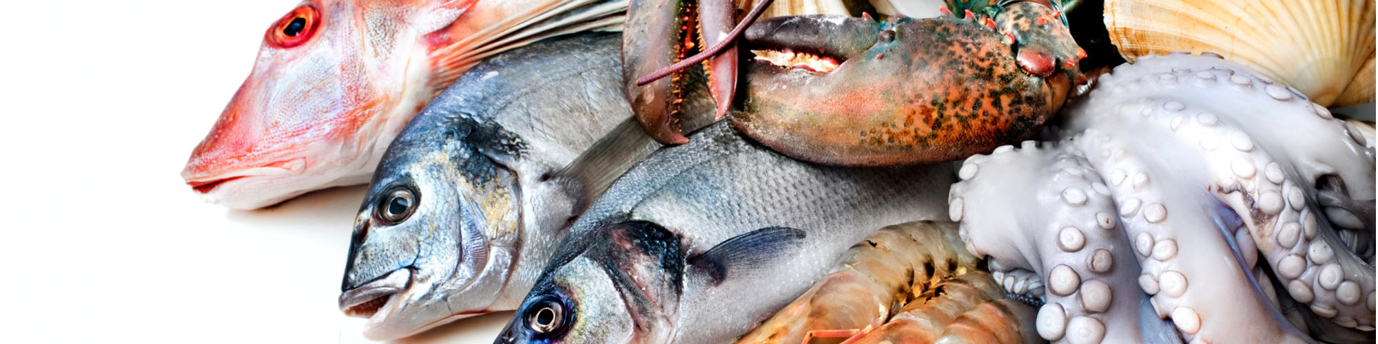 Frozen Fish