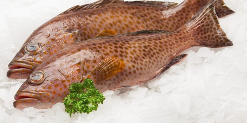 Grouper