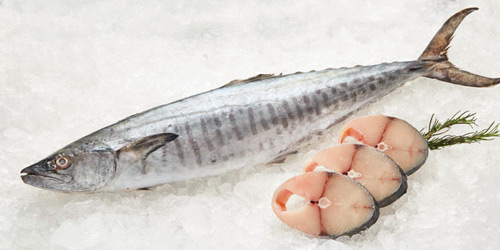 Kingfish